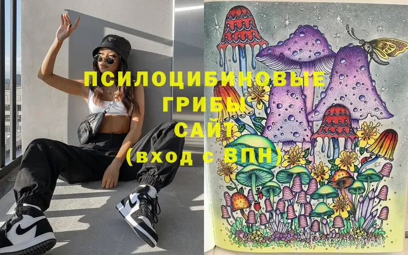 Галлюциногенные грибы Magic Shrooms Верхотурье